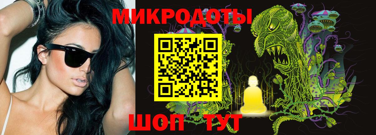 Псилоцибиновые грибы Psilocybe  Вход с VPN  Вязьма  Галлюциногенные грибы мицелий 