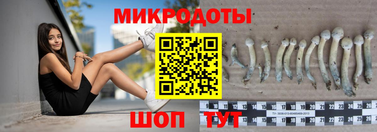 Галлюциногенные грибы мицелий Вязьма